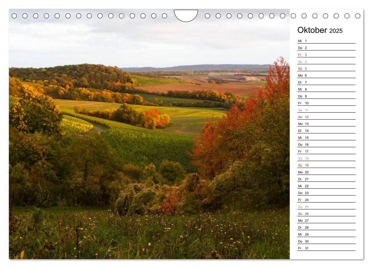 Bild: 9783435542482 | DER STEIGERWALD - Impressionen einer Landschaft (Wandkalender 2025...