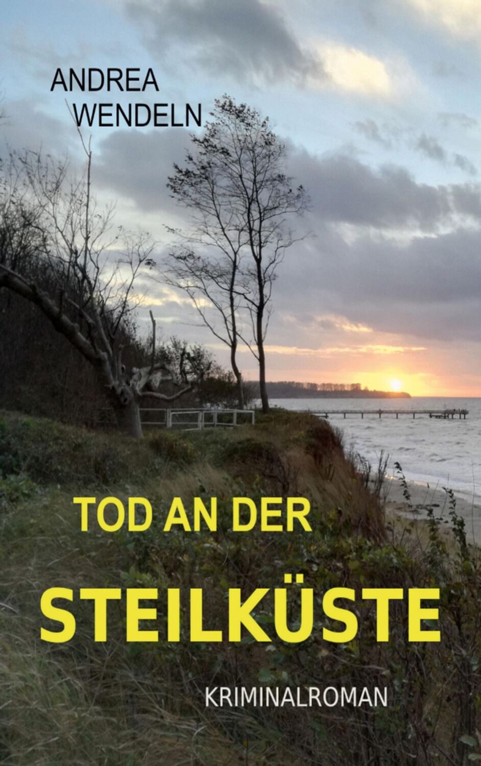 Cover: 9783740713331 | Tod an der Steilküste | Andrea Wendeln | Taschenbuch | Paperback