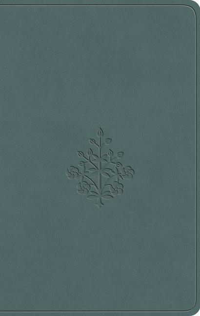 Cover: 9781433593208 | ESV Value Compact Bible (Trutone, Paris Sky, Branch Design) | Buch