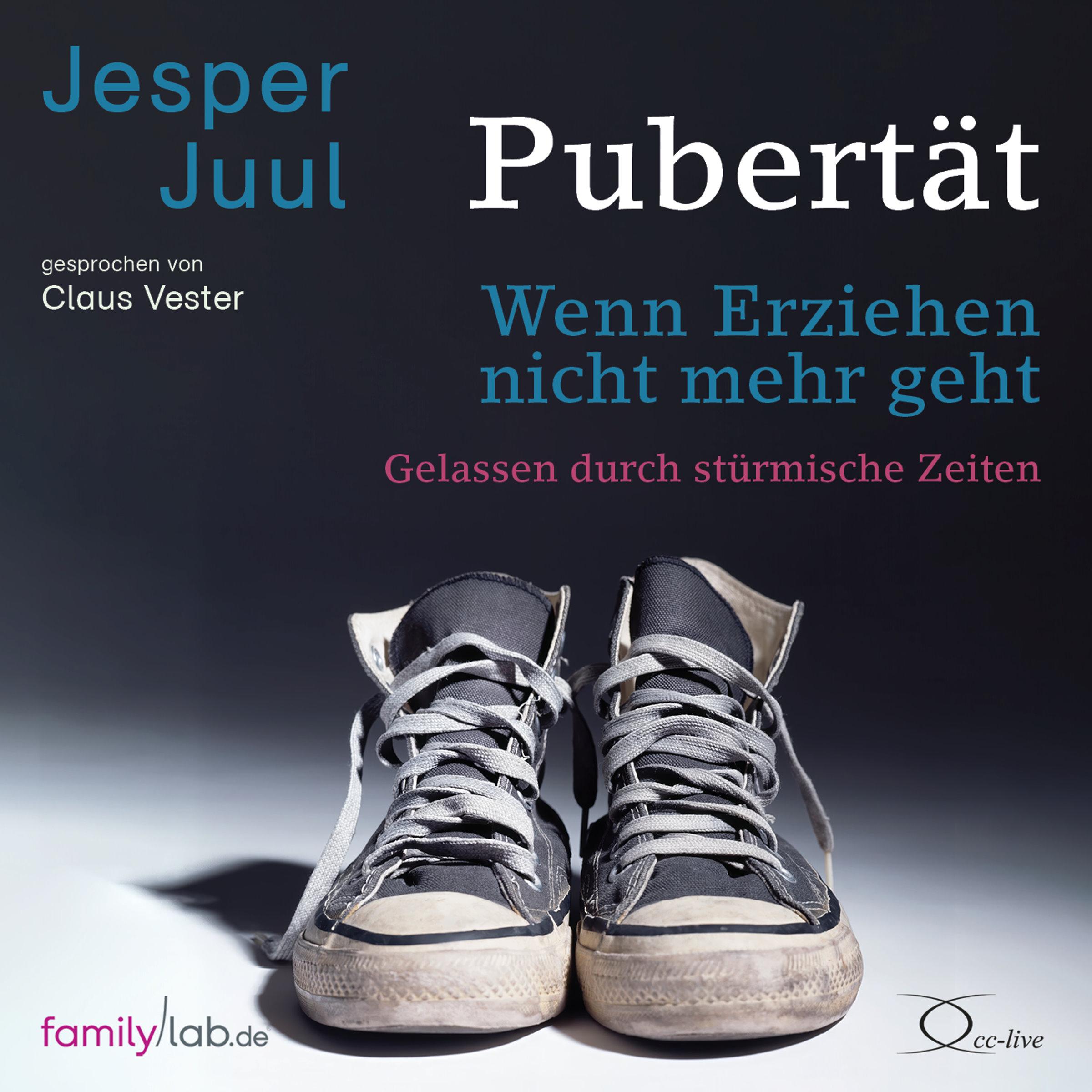 Cover: 9783956164460 | Pubertät - wenn Erziehen nicht mehr geht | Jesper Juul | Audio-CD