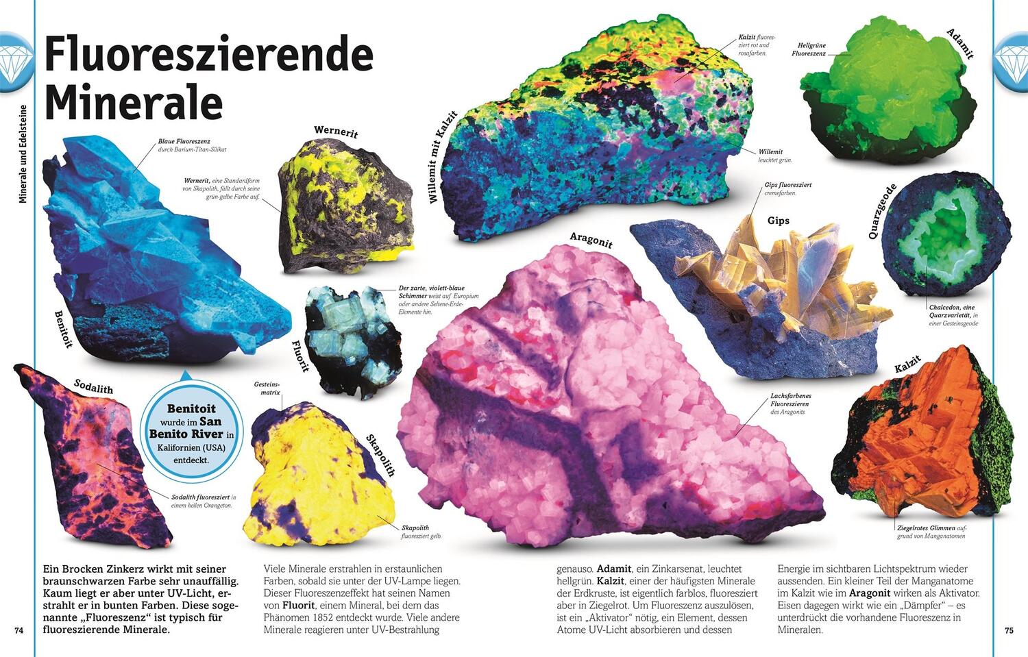 Bild: 9783831032136 | Steine | Minerale, Edelsteine und Fossilien in über 1000 Bildern