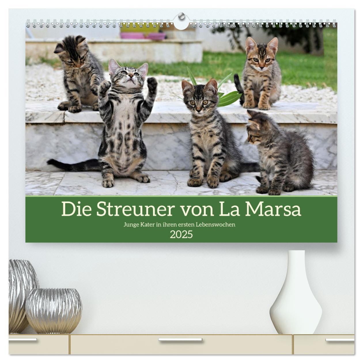 Cover: 9783457142523 | Die Streuner von La Marsa (hochwertiger Premium Wandkalender 2025...