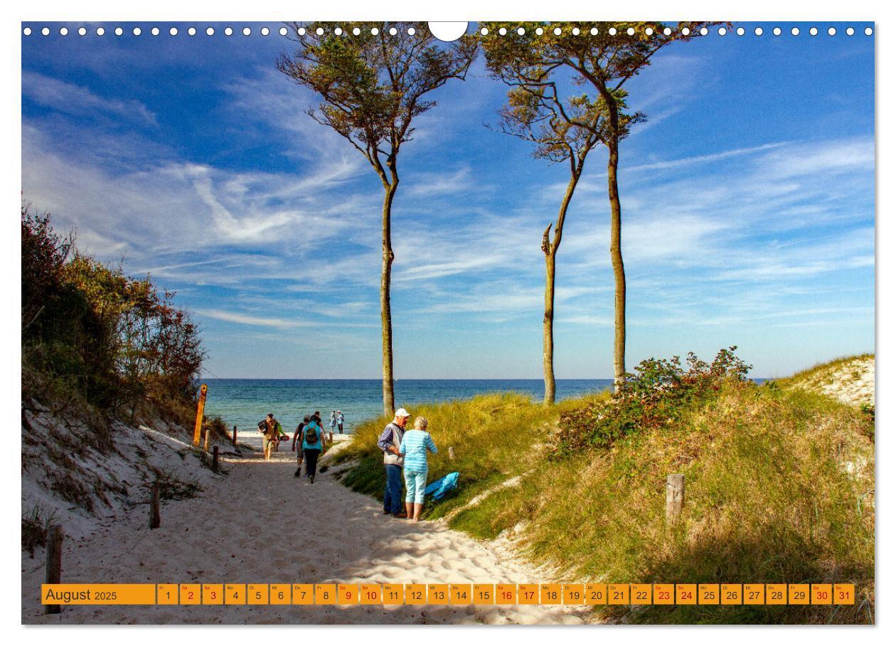 Bild: 9783383782282 | Wilder Darßer Weststrand (Wandkalender 2025 DIN A3 quer), CALVENDO...