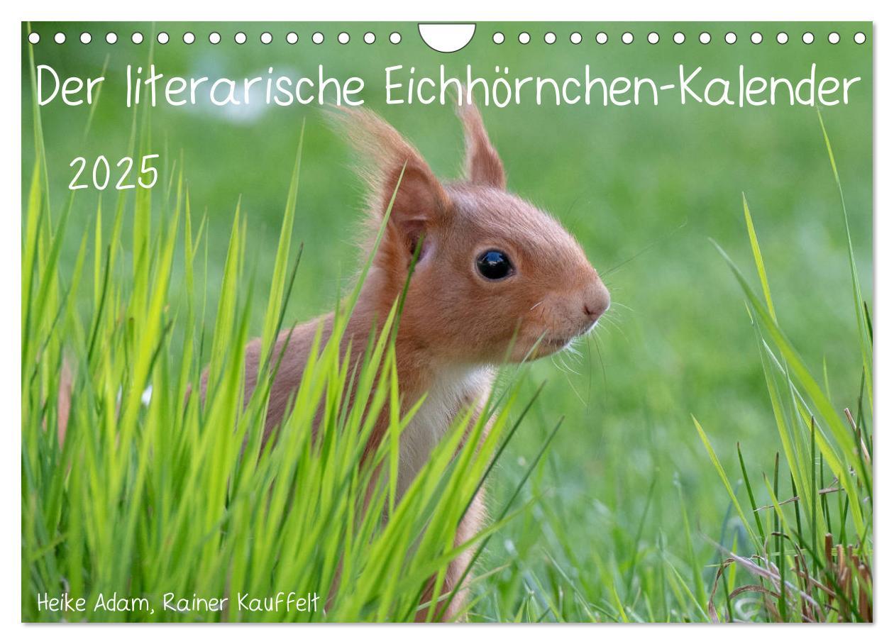 Cover: 9783435434244 | Der literarische Eichhörnchen-Kalender (Wandkalender 2025 DIN A4...