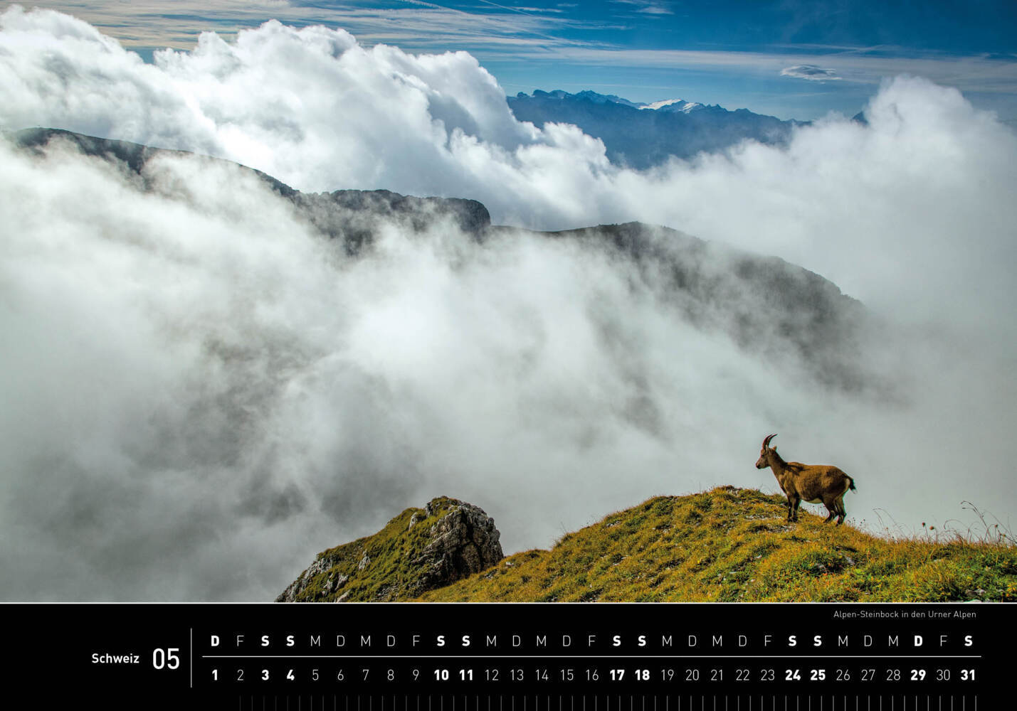 Bild: 9783968555263 | 360° Schweiz Premiumkalender 2025 | Christian Heeb | Kalender | 13 S.