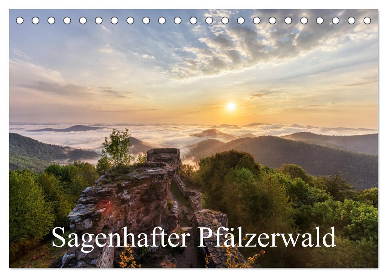 Cover: 9783435433506 | Sagenhafter Pfälzerwald (Tischkalender 2025 DIN A5 quer), CALVENDO...