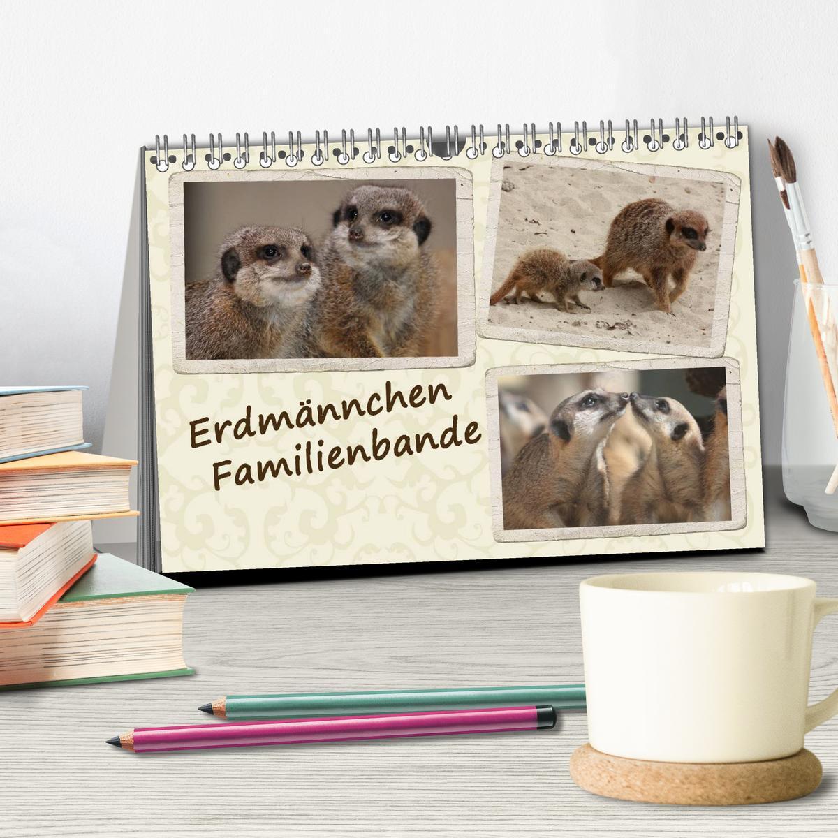 Bild: 9783435787302 | Erdmännchen Familienbande (Tischkalender 2025 DIN A5 quer),...