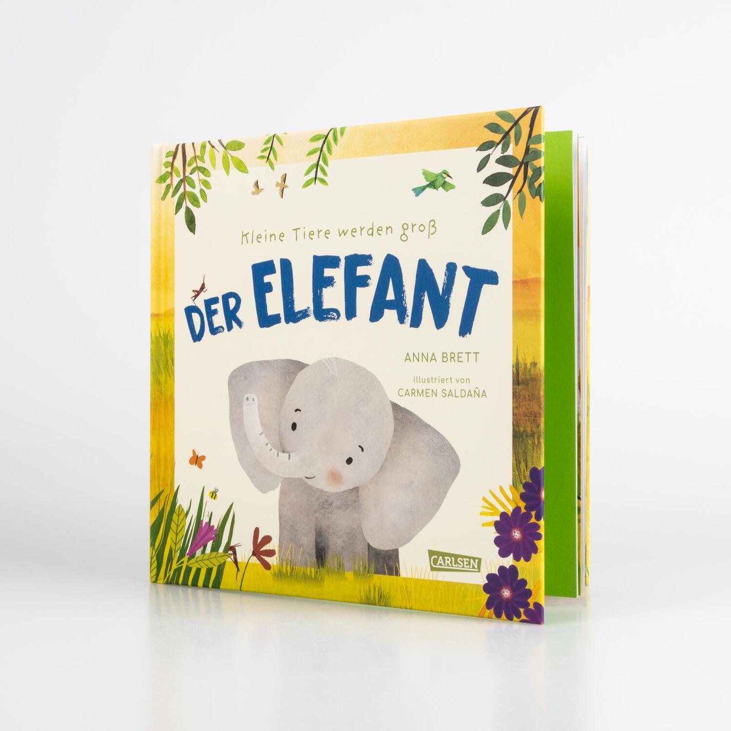 Bild: 9783551254979 | Kleine Tiere werden groß - Der Elefant | Anna Brett | Buch | 48 S.