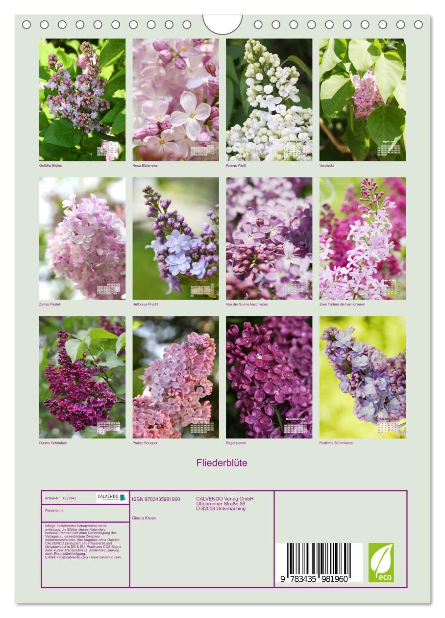 Bild: 9783435981960 | Fliederblüte (Wandkalender 2025 DIN A4 hoch), CALVENDO Monatskalender