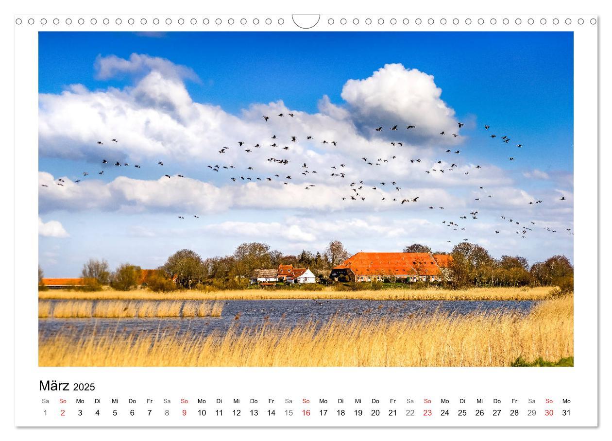 Bild: 9783435494767 | OSTFRIESLAND Strand und Mee(h)r (Wandkalender 2025 DIN A3 quer),...