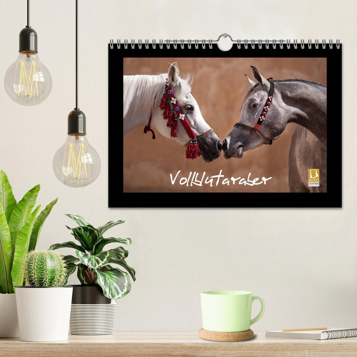 Bild: 9783435789719 | Vollblutaraber (Wandkalender 2025 DIN A4 quer), CALVENDO...