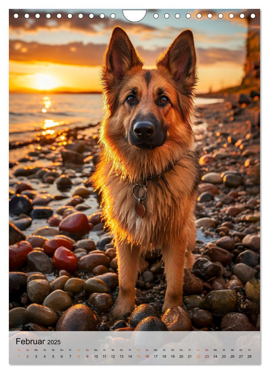 Bild: 9783383773389 | Deutscher Schäferhund - mutig und zuverlässig (Wandkalender 2025...