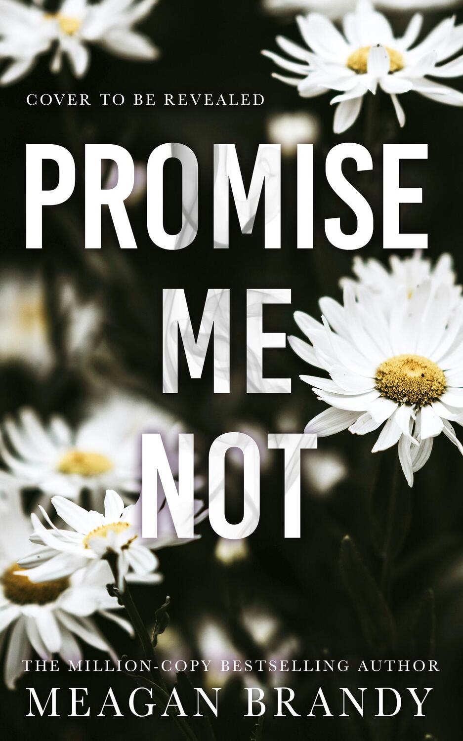 Cover: 9781398723375 | Promise Me Not | Meagan Brandy | Taschenbuch | Englisch | 2024