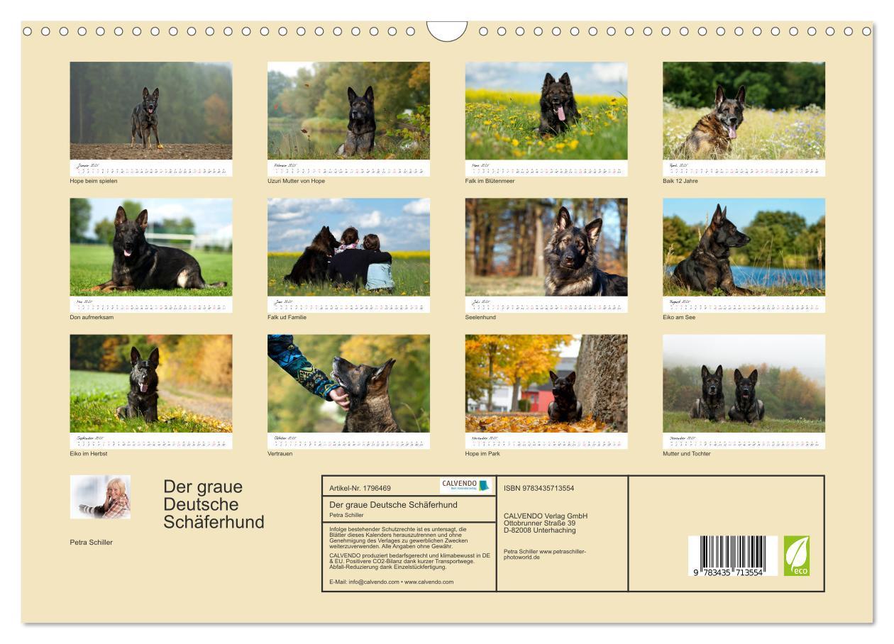 Bild: 9783435713554 | Der graue Deutsche Schäferhund (Wandkalender 2025 DIN A3 quer),...