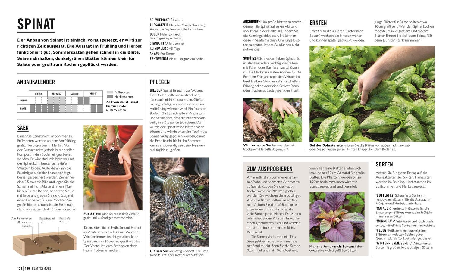 Bild: 9783831043941 | Grünes Gartenwissen. Gemüse anbauen | Jo Whittingham | Taschenbuch