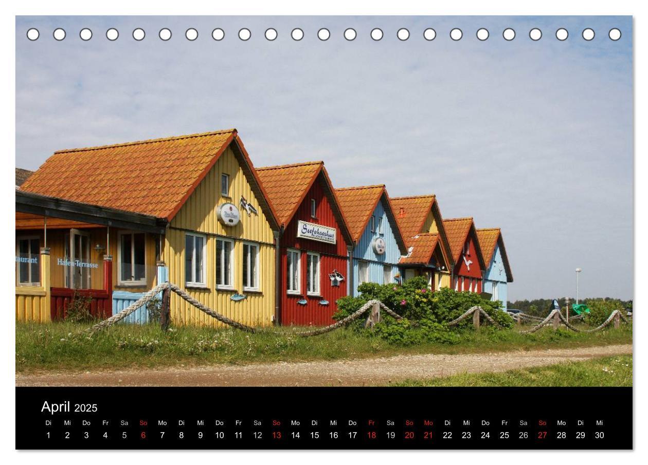 Bild: 9783435785735 | Die Insel Amrum (Tischkalender 2025 DIN A5 quer), CALVENDO...