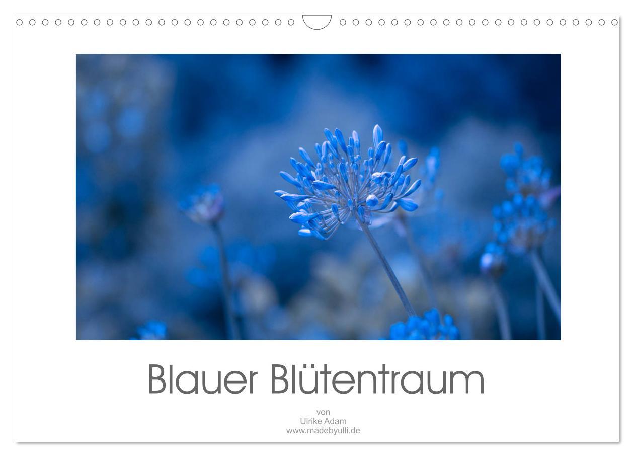 Cover: 9783435300945 | Blauer Blütentraum (Wandkalender 2025 DIN A3 quer), CALVENDO...