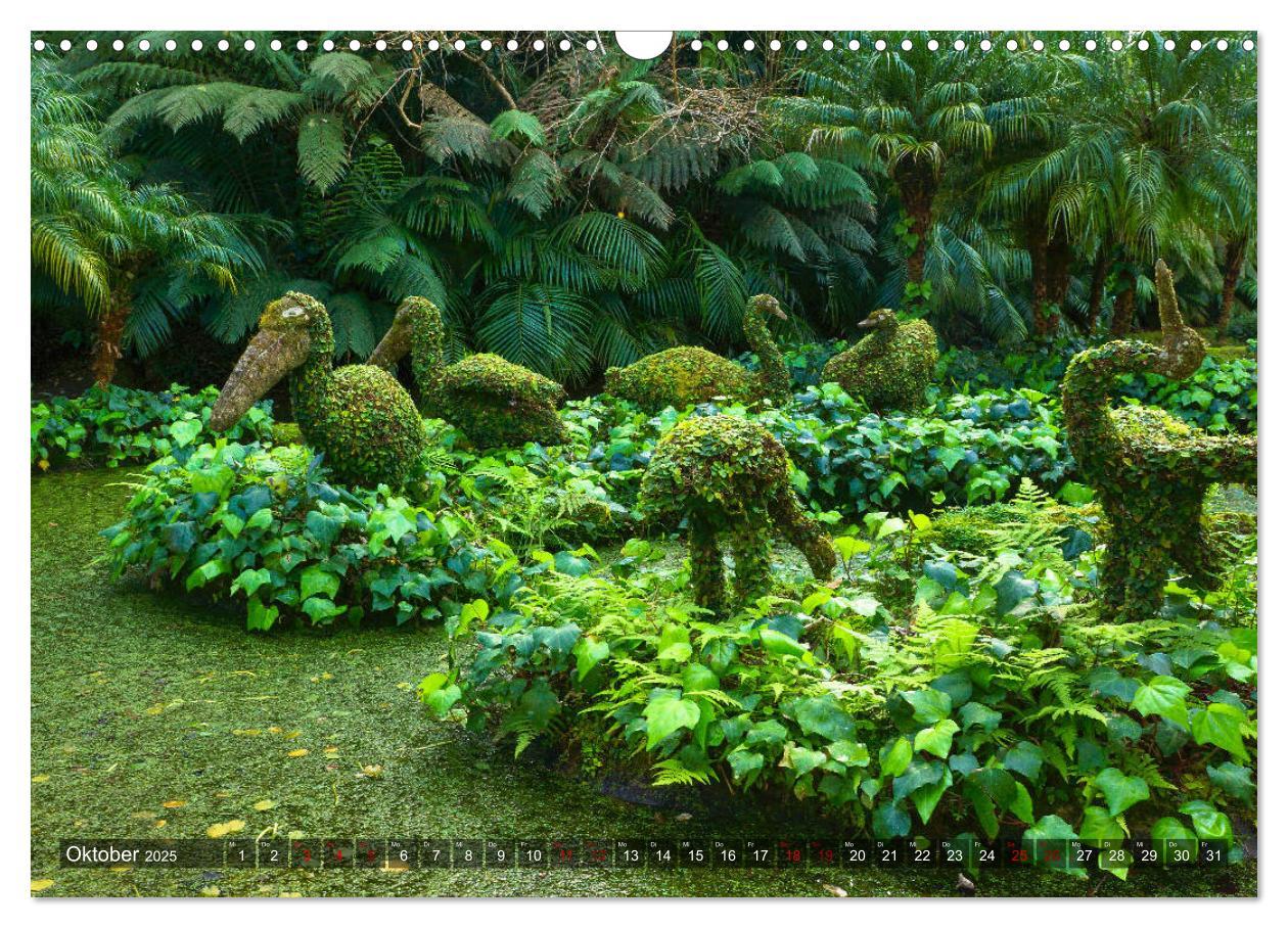 Bild: 9783435375325 | Terra Nostra Garten - ein botanisches Juwel auf den Azoren...