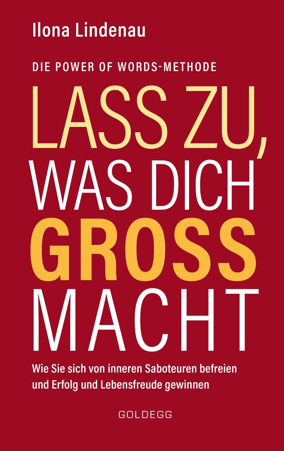 Cover: 9783990601310 | Lass zu, was dich groß macht | Ilona Lindenau | Buch | 176 S. | 2019