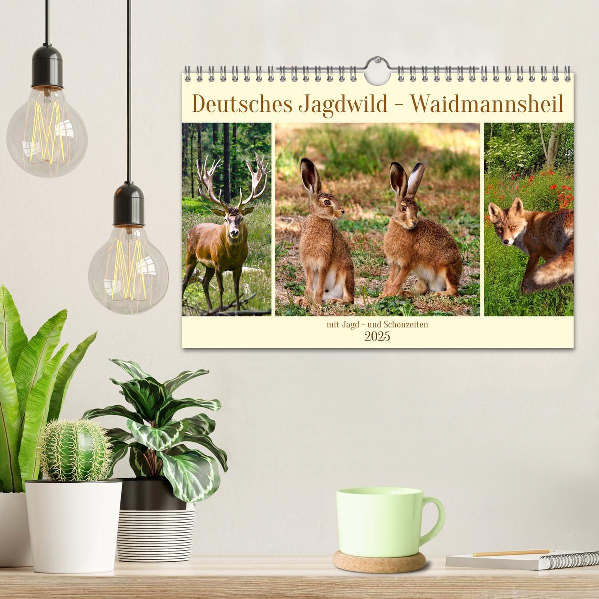 Bild: 9783383863400 | Deutsches Jagdwild - Waidmannsheil (Wandkalender 2025 DIN A4 quer),...