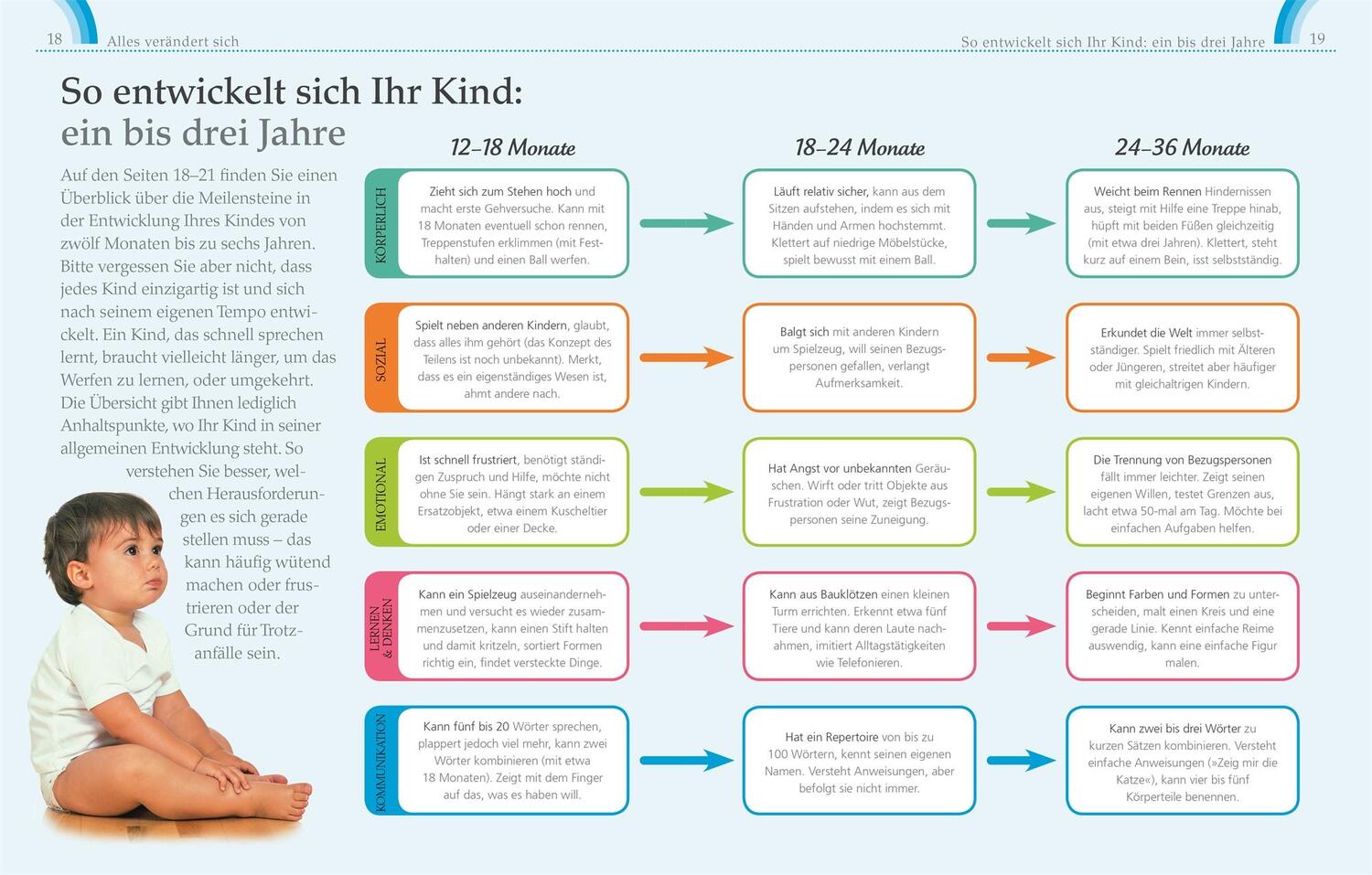 Bild: 9783831027576 | ElternWissen. Entspannt durch die Trotzphase | Judy Barratt | Buch