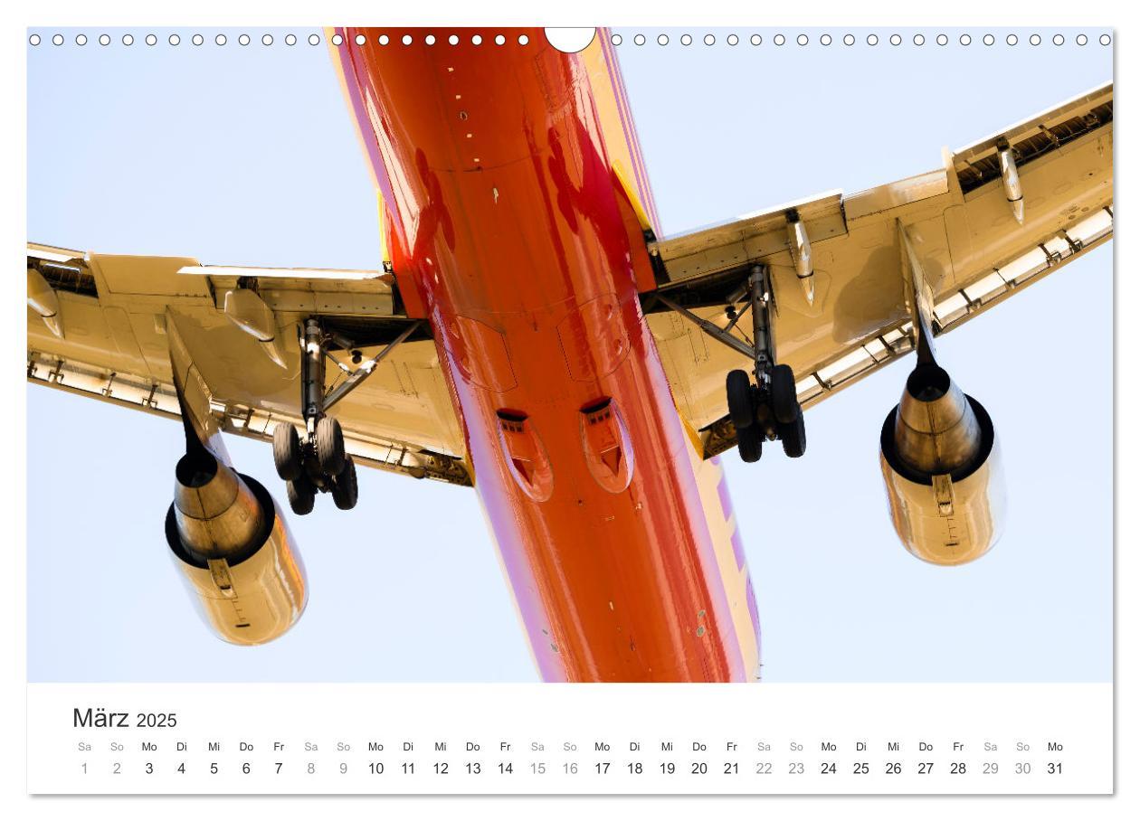 Bild: 9783383925139 | die FREIHEIT des FLIEGENS (Wandkalender 2025 DIN A3 quer), CALVENDO...