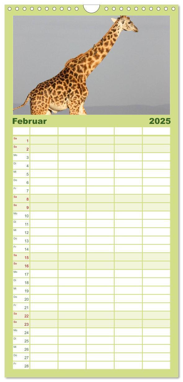 Bild: 9783457110126 | Familienplaner 2025 - Giraffen mit 5 Spalten (Wandkalender, 21 x 45...