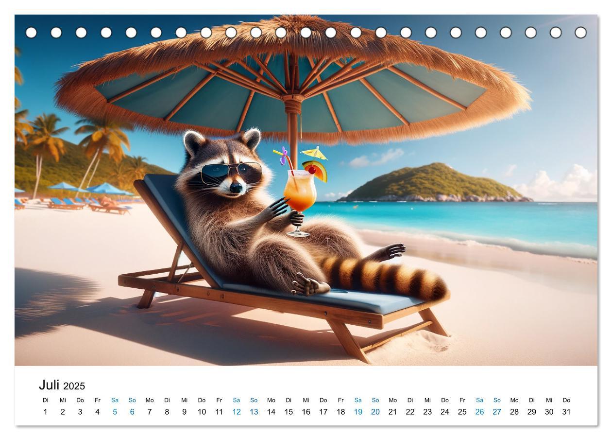 Bild: 9783383775383 | Lustige Waschbären (Tischkalender 2025 DIN A5 quer), CALVENDO...