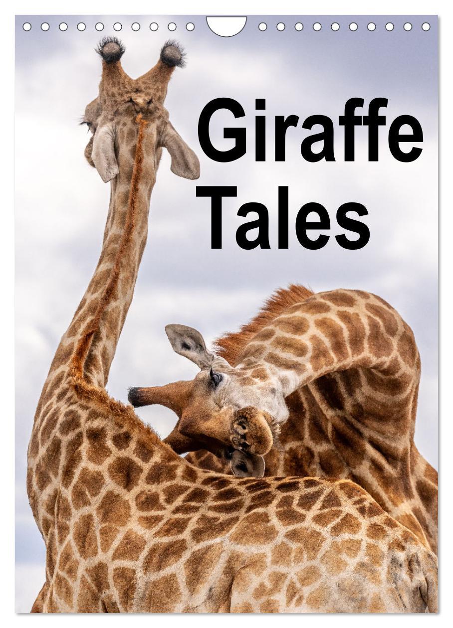 Cover: 9781325988709 | Giraffe Tales (Wall Calendar 2025 DIN A4 portrait), CALVENDO 12...