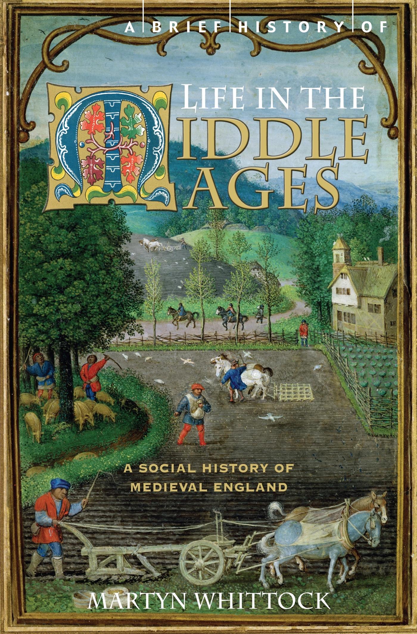 Cover: 9781845296858 | A Brief History of Life in the Middle Ages | Martyn Whittock | Buch