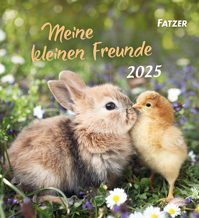 Cover: 9783866037762 | Meine kleinen Freunde 2025 | Kalender | 13 S. | Deutsch | 2025