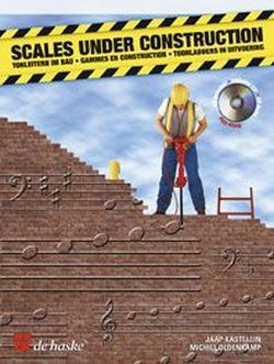 Cover: 9789043114646 | Scales under Construction | Jaap Kastelein_Michiel Oldenkamp | 2001