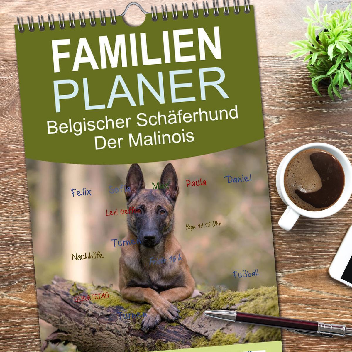 Bild: 9783457117798 | Familienplaner 2025 - Belgischer Schäferhund - Der Malinois mit 5...