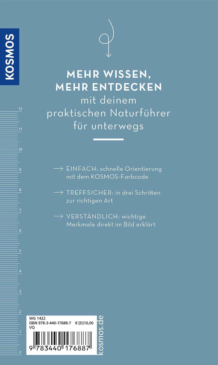 Rückseite: 9783440176887 | Basic Strand und Küste | einfach und sicher erkennen | Ute Wilhelmsen