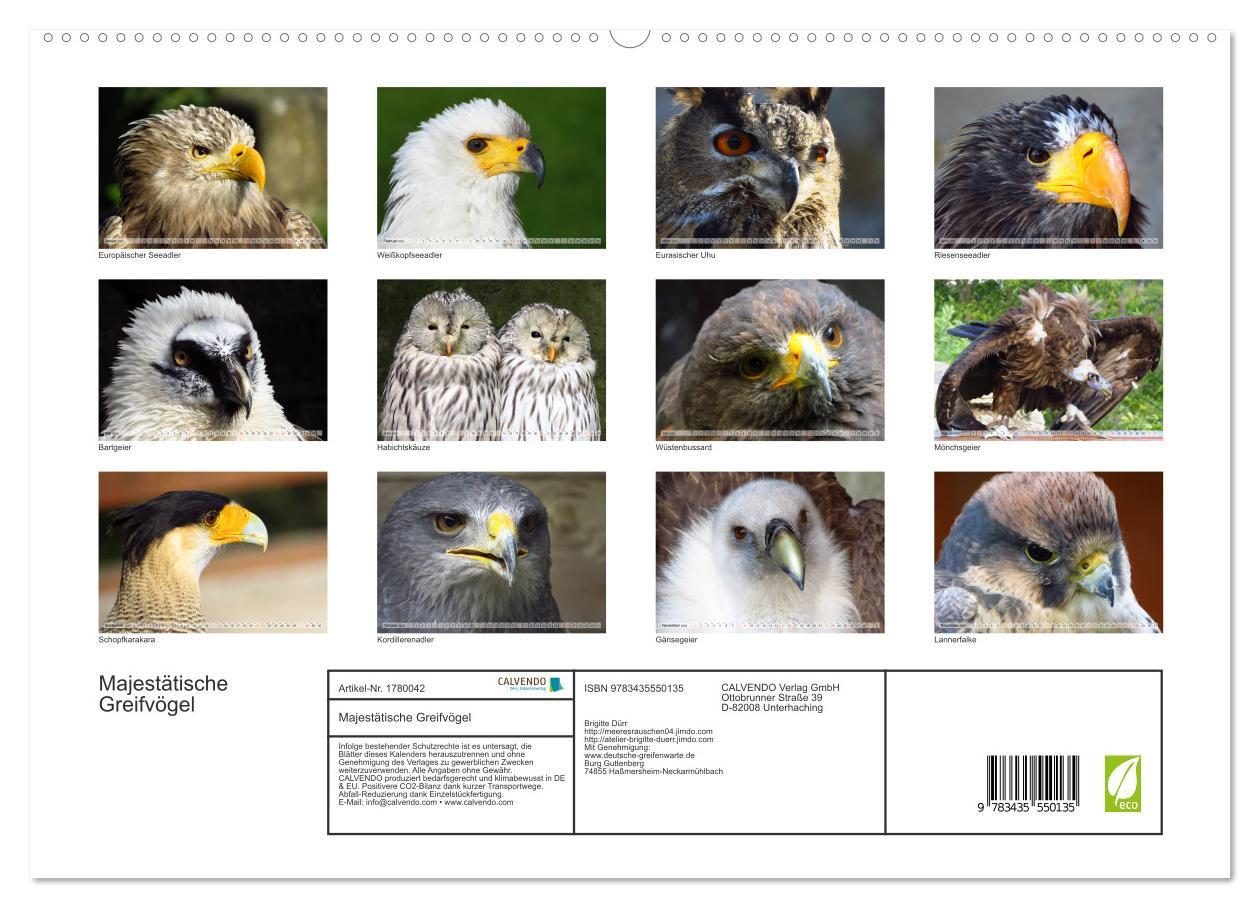 Bild: 9783435550135 | Majestätische Greifvögel (hochwertiger Premium Wandkalender 2025...