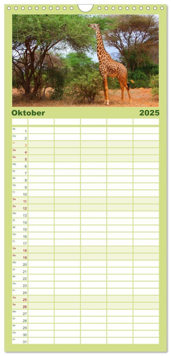 Bild: 9783457110126 | Familienplaner 2025 - Giraffen mit 5 Spalten (Wandkalender, 21 x 45...