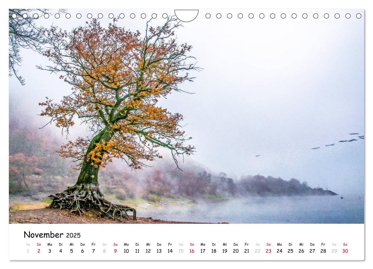 Bild: 9783435325436 | Fotogenes Nordhessen (Wandkalender 2025 DIN A4 quer), CALVENDO...