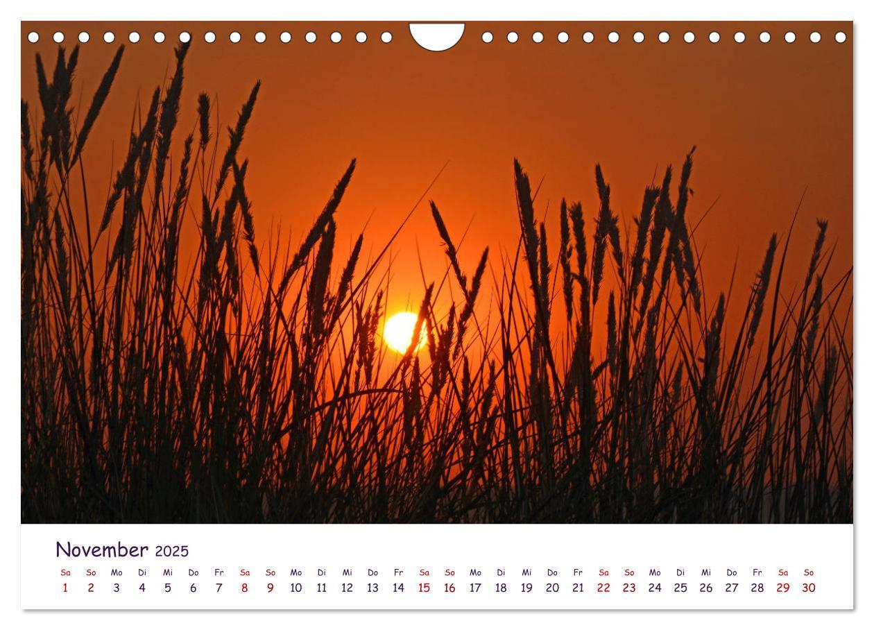 Bild: 9783435134540 | Natur und Landschaft Mecklenburg - Vorpommern 2025 (Wandkalender...