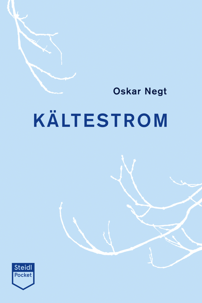 Cover: 9783958297296 | Kältestrom | Oskar Negt | Taschenbuch | 58 S. | Deutsch | 2020