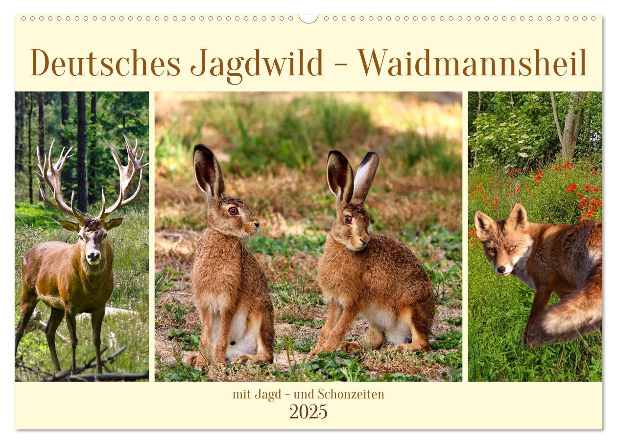 Cover: 9783383899850 | Deutsches Jagdwild - Waidmannsheil (Wandkalender 2025 DIN A2 quer),...