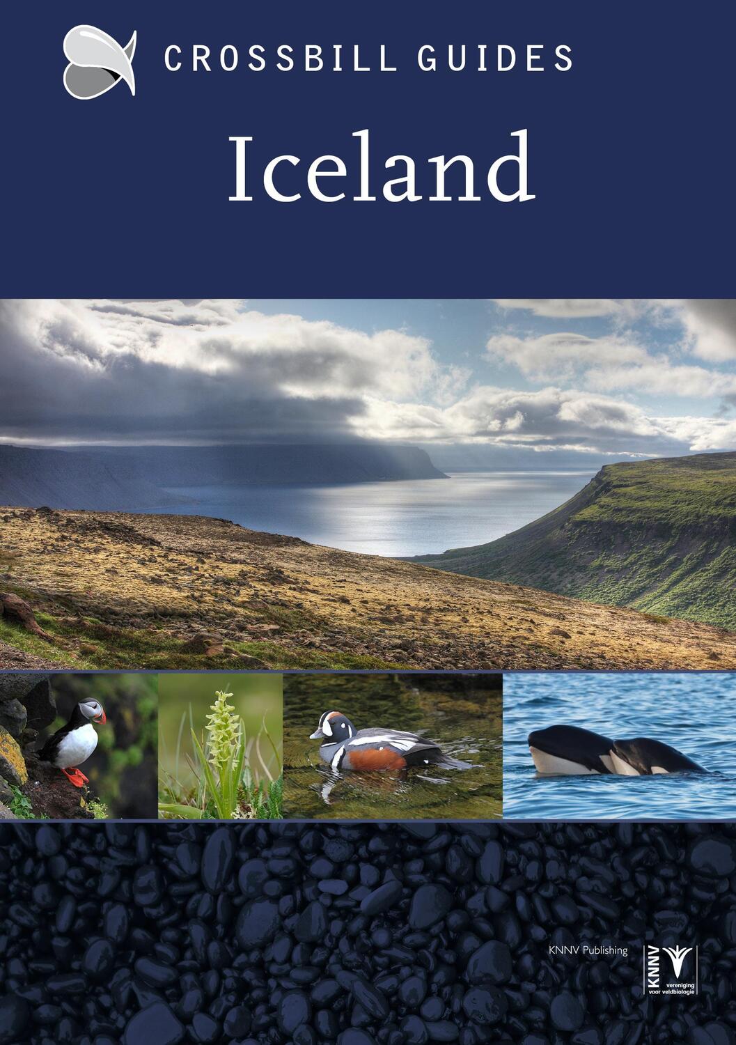 Cover: 9789491648038 | Iceland | Dirk Hilbers | Taschenbuch | Kartoniert / Broschiert | 2017