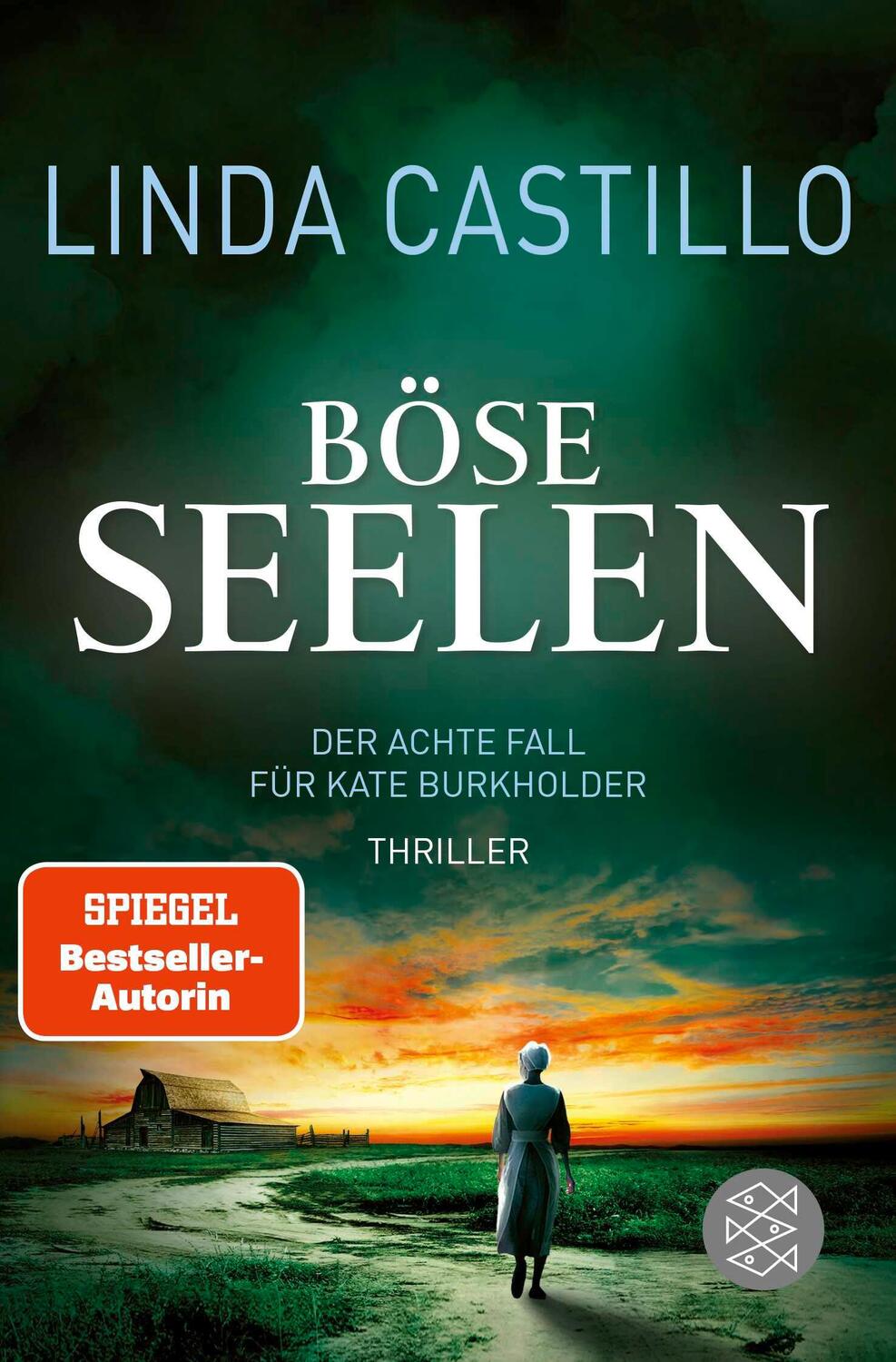 Cover: 9783596298013 | Böse Seelen | Linda Castillo | Taschenbuch | Kate Burkholder ermittelt