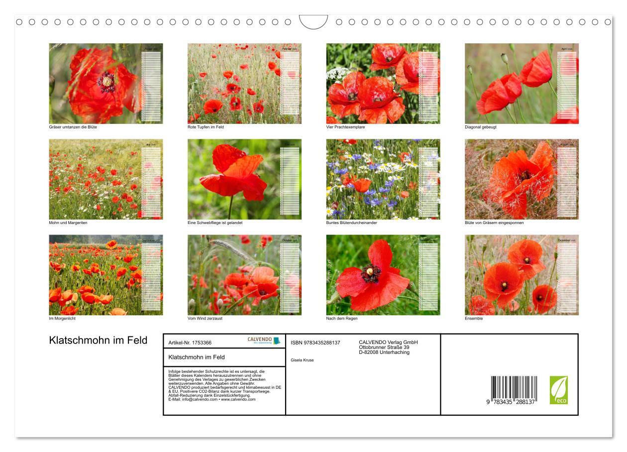 Bild: 9783435288137 | Klatschmohn im Feld (Wandkalender 2025 DIN A3 quer), CALVENDO...