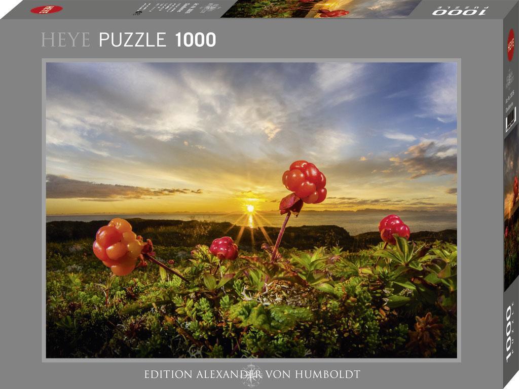 Cover: 4001689300166 | Cloudberries Puzzle 1000 Teile | Audun Rikardsen | Stück | 30016