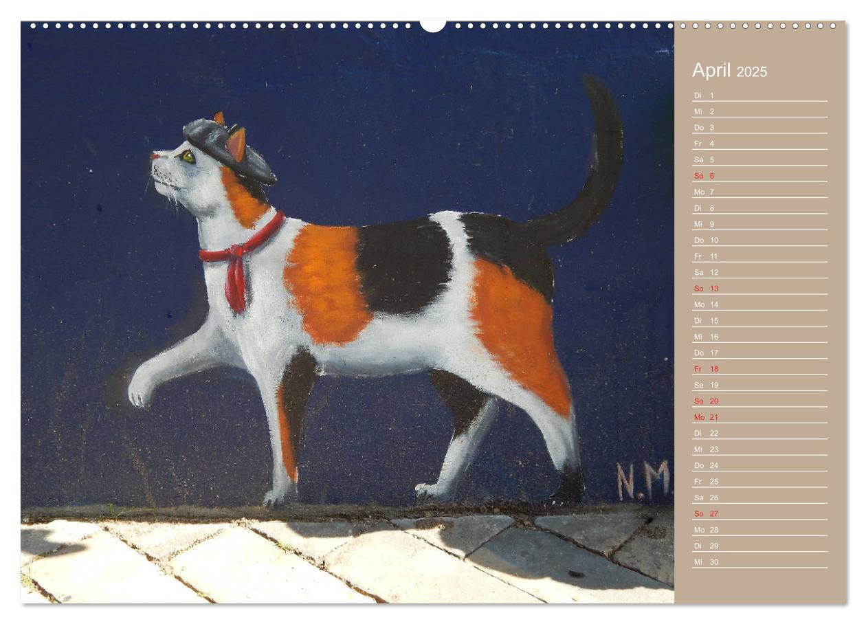 Bild: 9783435289691 | Flensburger Katzen (Wandkalender 2025 DIN A2 quer), CALVENDO...