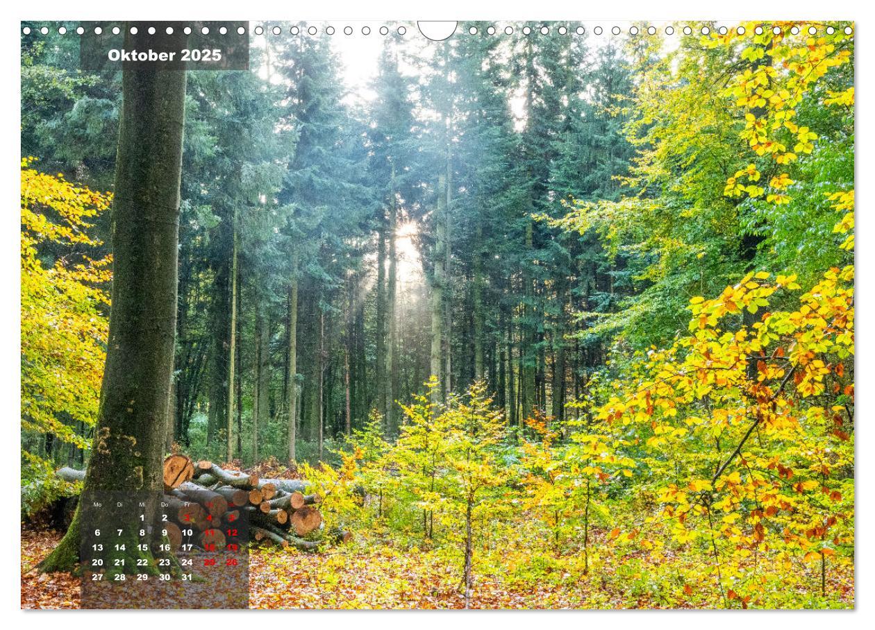 Bild: 9783383866937 | Ein Jahr Niederrhein Momente der Natur (Wandkalender 2025 DIN A3...