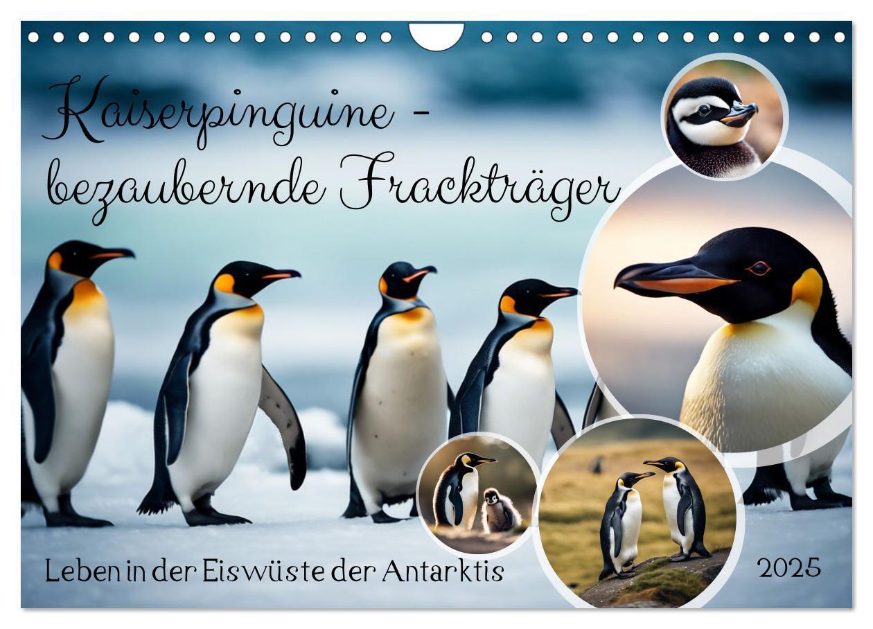 Cover: 9783383822766 | Kaiserpinguine - bezaubernde Frackträger (Wandkalender 2025 DIN A4...