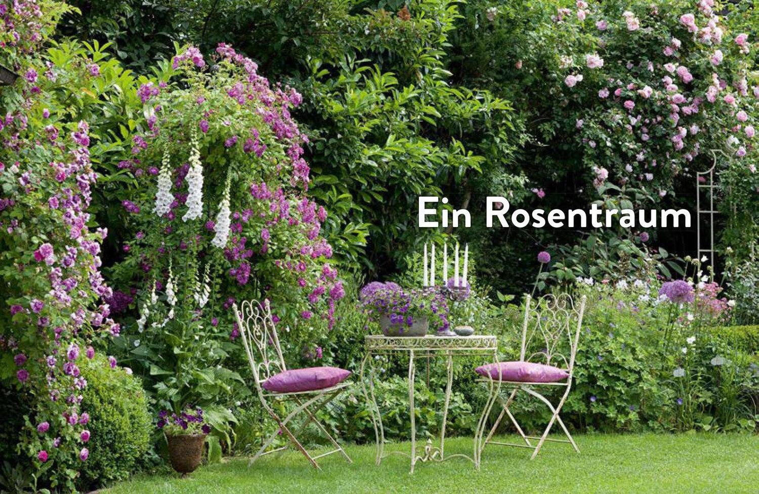 Bild: 9783809443285 | Verrückt nach Garten. Ideen und Erfahrungen kreativer Gärtner | Buch