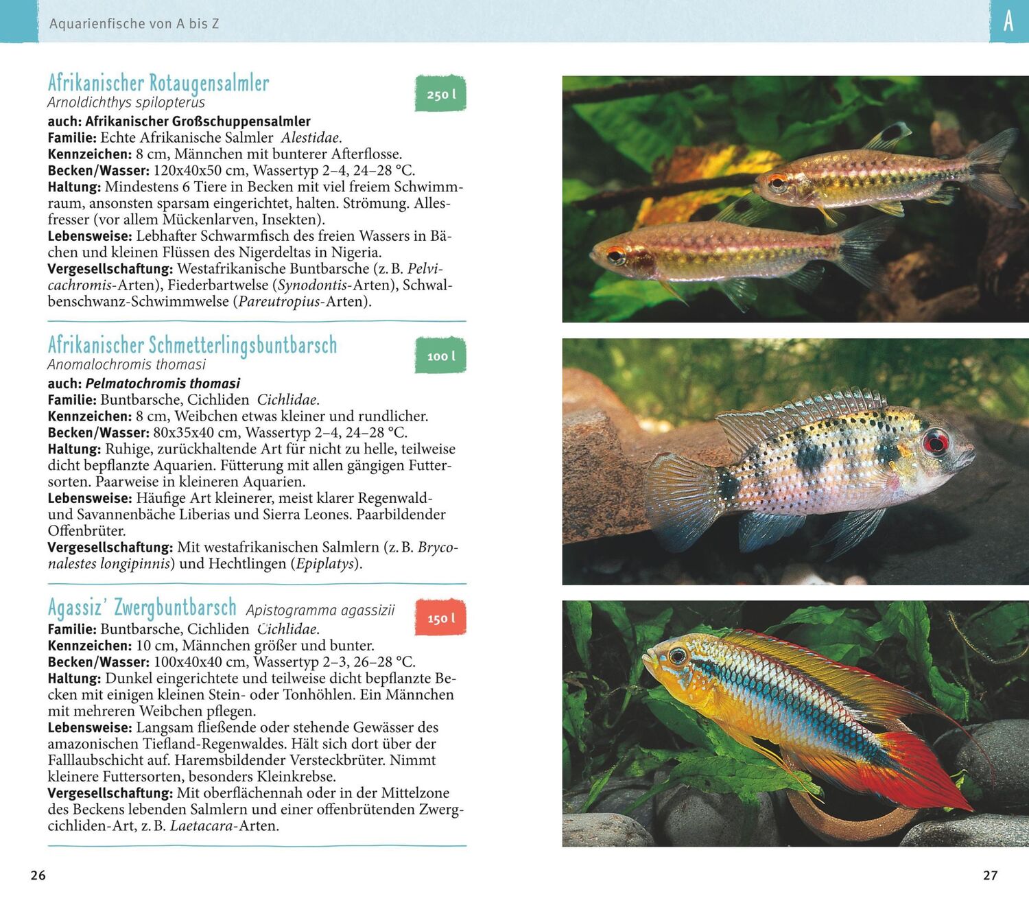 Bild: 9783833855788 | Aquarienfische von A bis Z | Ulrich Schliewen | Taschenbuch | 256 S.