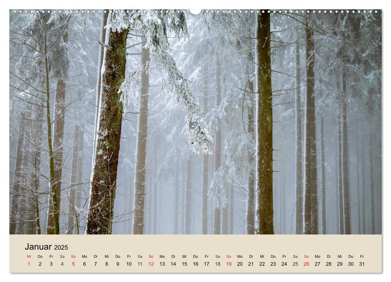 Bild: 9783435317714 | Der Wald. Durch zauberhafte Waldlandschaften (Wandkalender 2025 DIN...